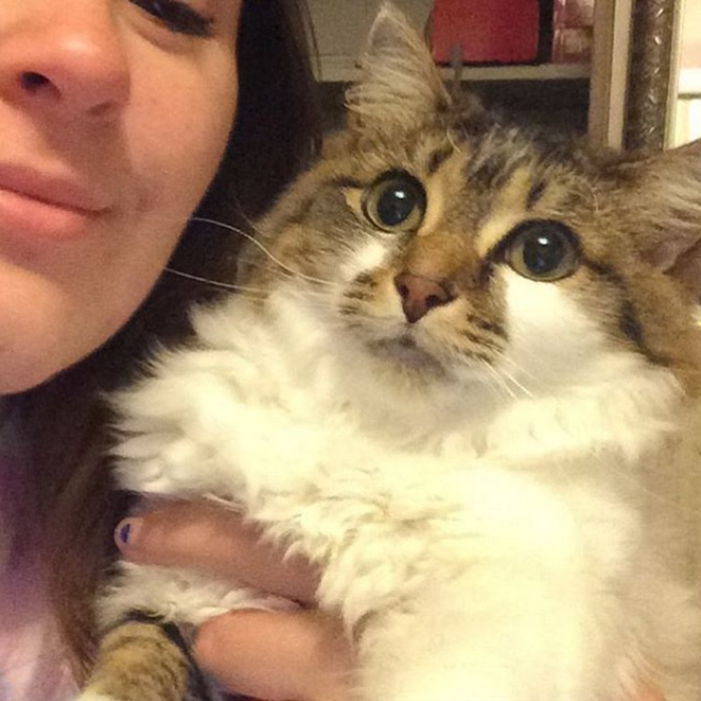Meet your Posher, Molly